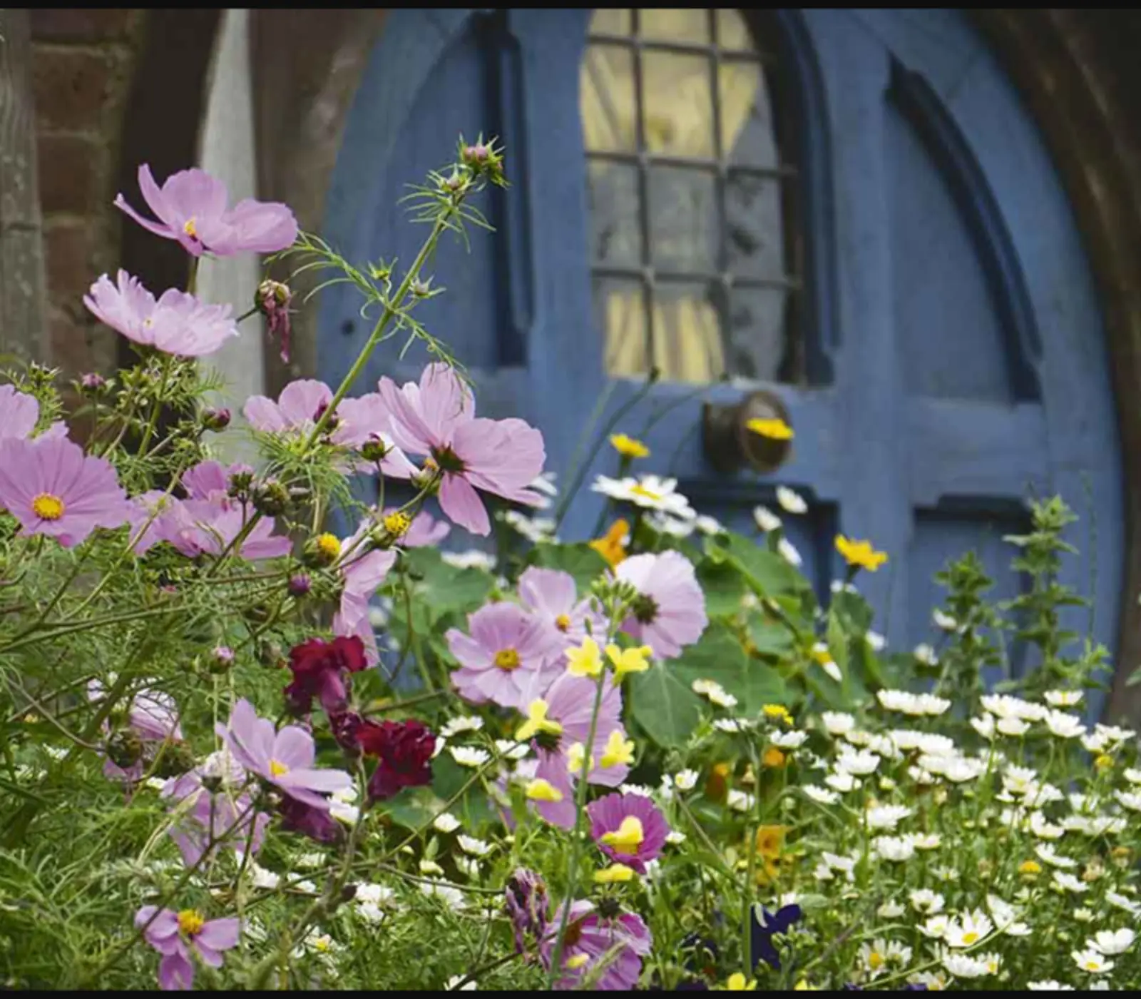 Day 4 of Waitomo, Rotorua & Hobbiton Uncovered: Rotorua to Auckland via Hobbiton Movie Set