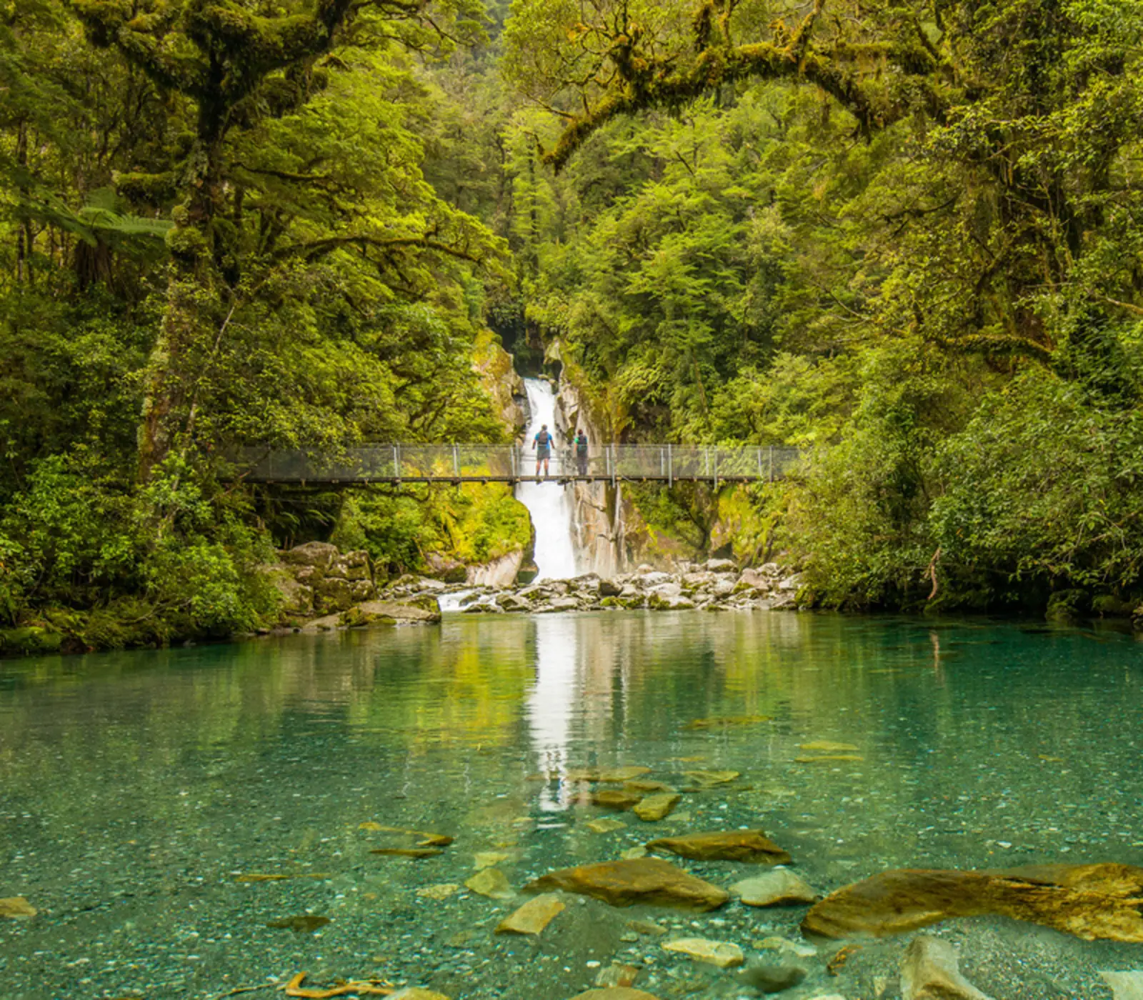 Milford Track & South Island Explorer: 13 day New Zealand self drive tour