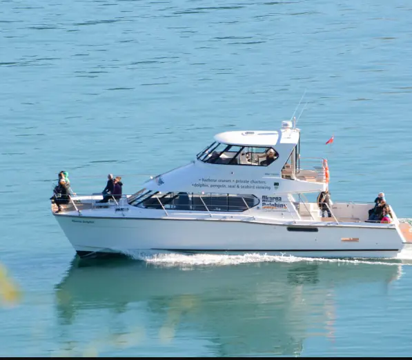 Day 5 of Natural Wonders: Akaroa Dolphins Harbour Nature Cruise