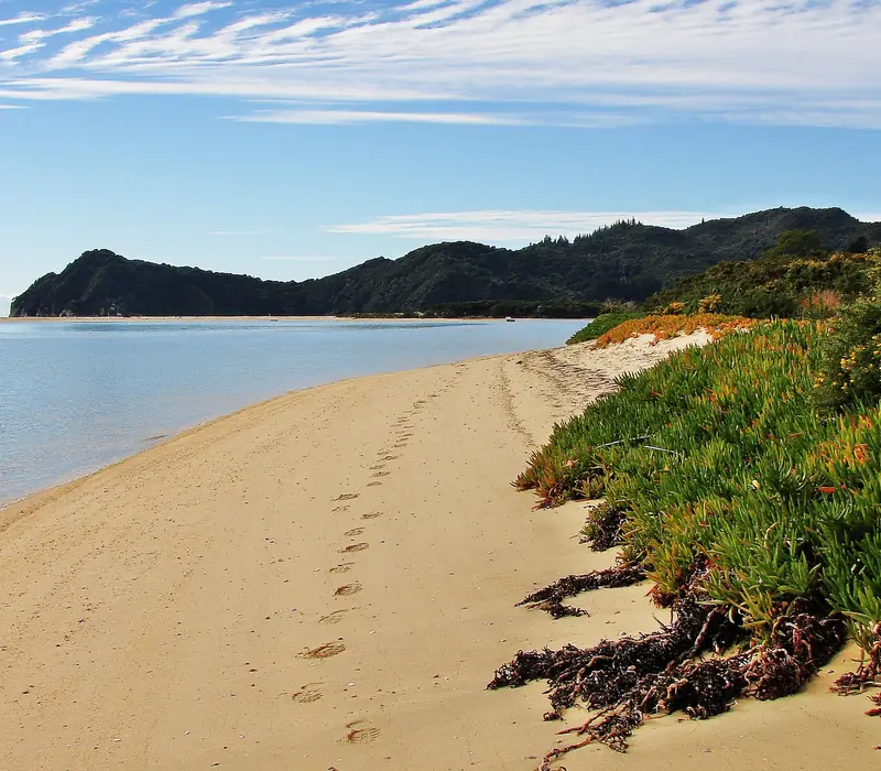 Day 6 of New Zealand Explorer: Nelson to Abel Tasman National Park Return Coach