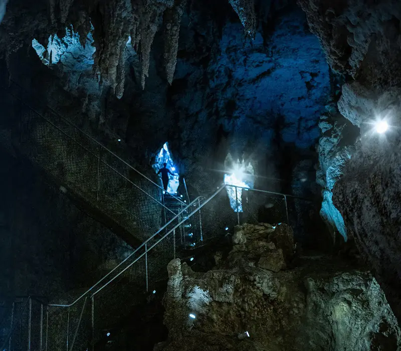 Day 13 of New Zealand Magic 26/27: Set your internal GPS to cross the Waikato River and head towards the Waitomo Caves