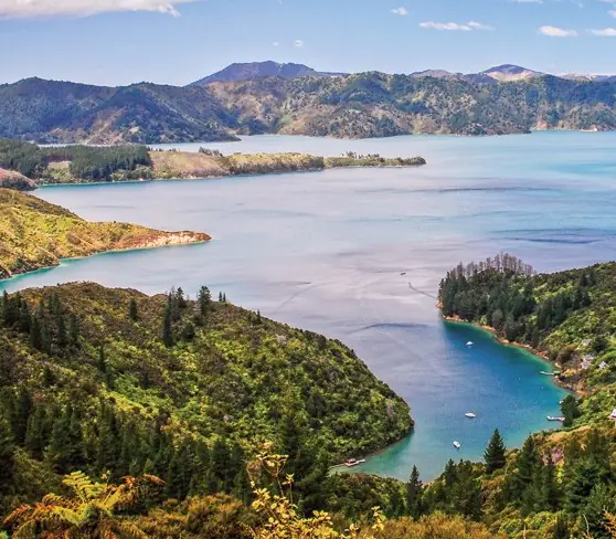 Day 10 of New Zealand Magic 26/27: Swap wheels for water aboard the ferry for a cruise through Queen Charlotte Sound, up the