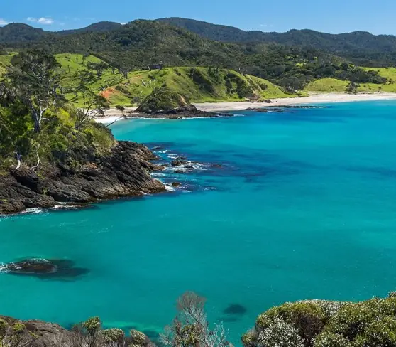 Day 16 of New Zealand Magic 27/28: Today, New Zealand’s most northerly city is well and truly on your radar