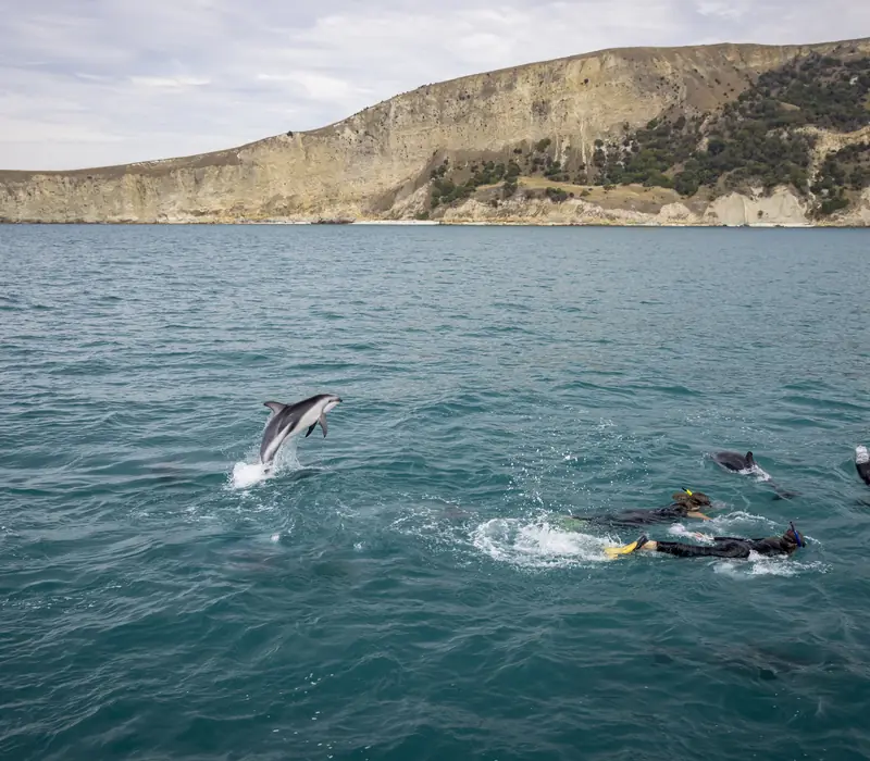 Day 9 of New Zealand Magic 27/28: There aren’t many beaches more dramatic than the sands of Kaikoura