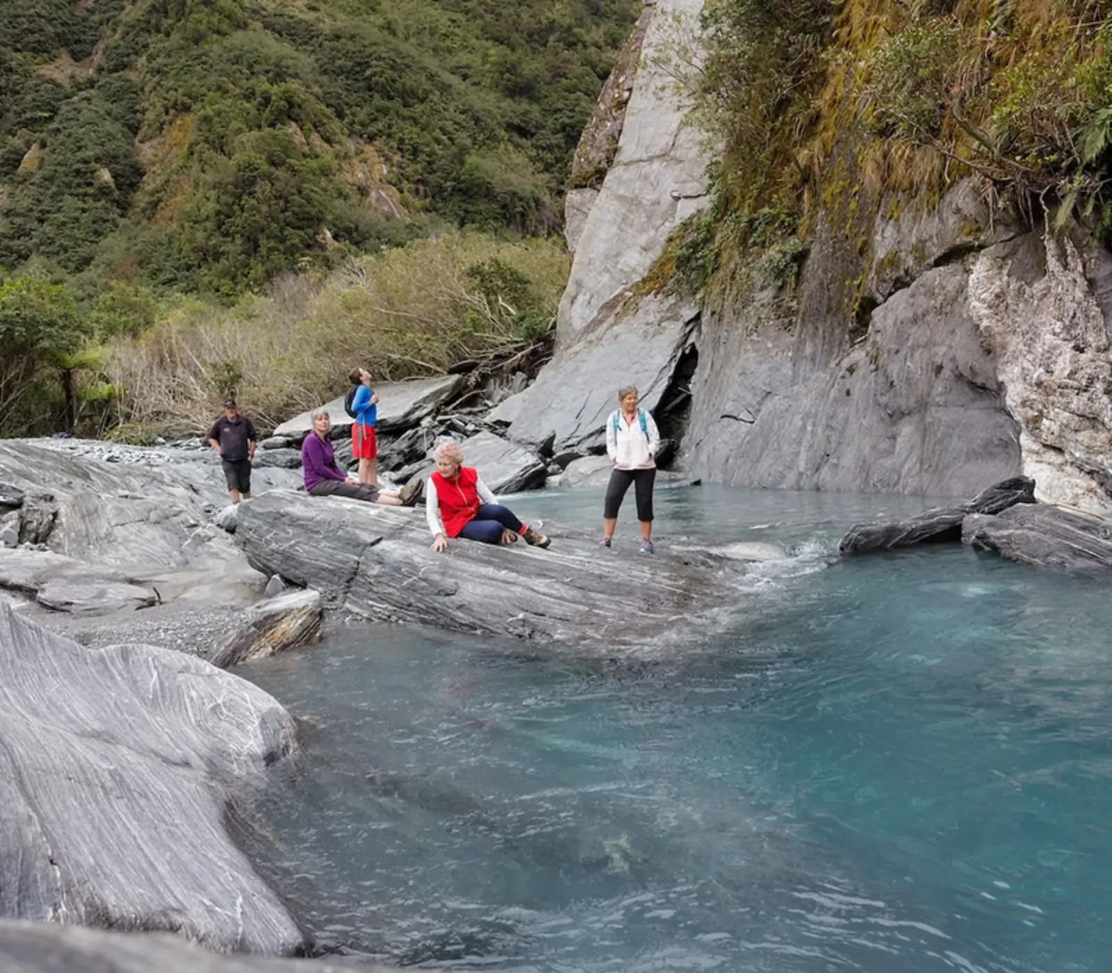 Day 3: Franz Josef Nature Tour with Glacier Valley Eco Tours (photo 4), Extended New Zealand