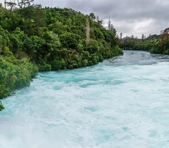 New Zealand’s Northern Gems - Small Group scenery 4