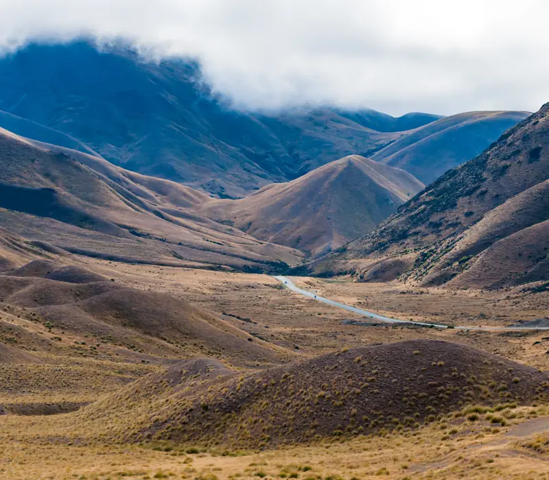 New Zealand’s Southern Drift - Small Group scenery 3