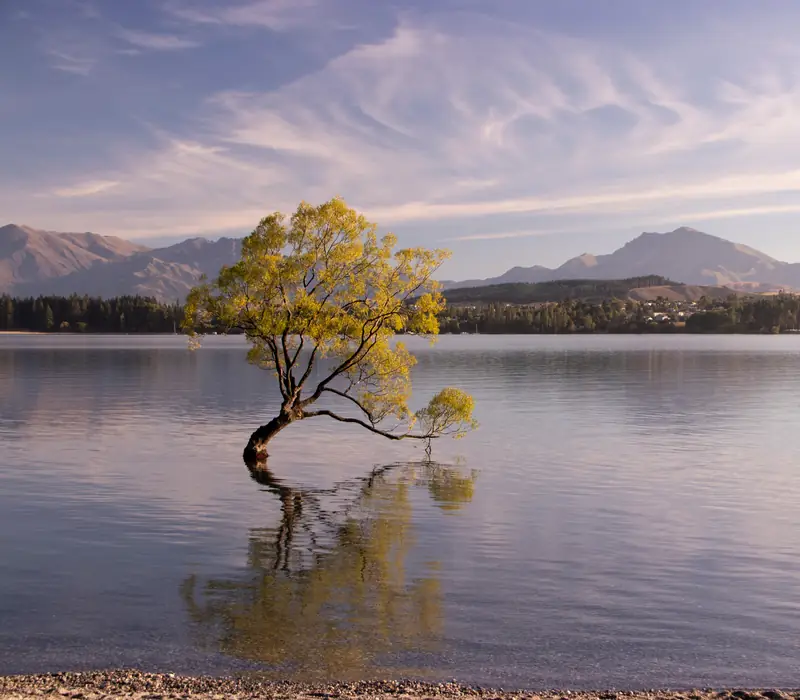 Day 6 of New Zealand’s Southern Drift - Small Group: Depart the serene beauty of Fiordland National Park and journey to the picturesque country