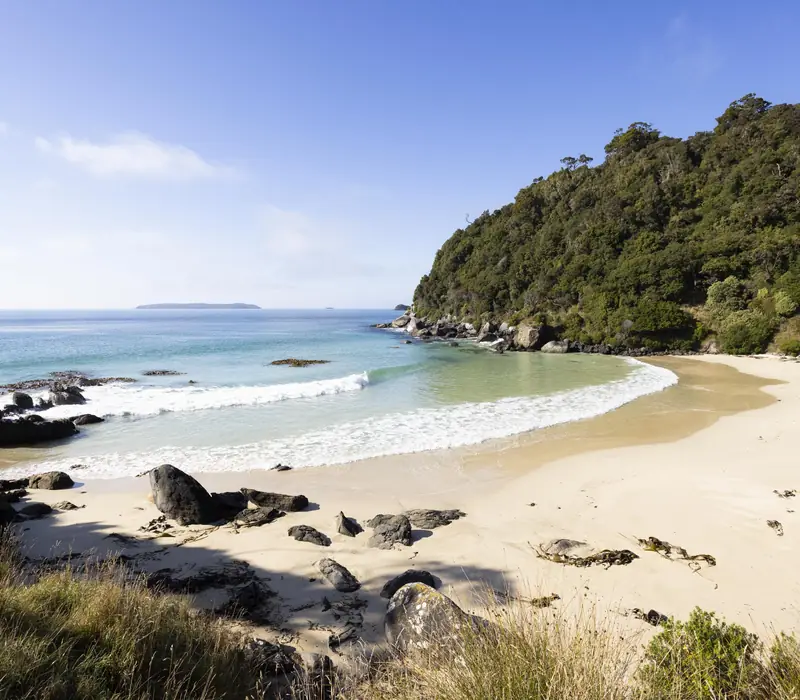 Day 11 of New Zealand South Island Adventure: Enjoy a full free day to explore the island as you discover the coast and Rakiura National
