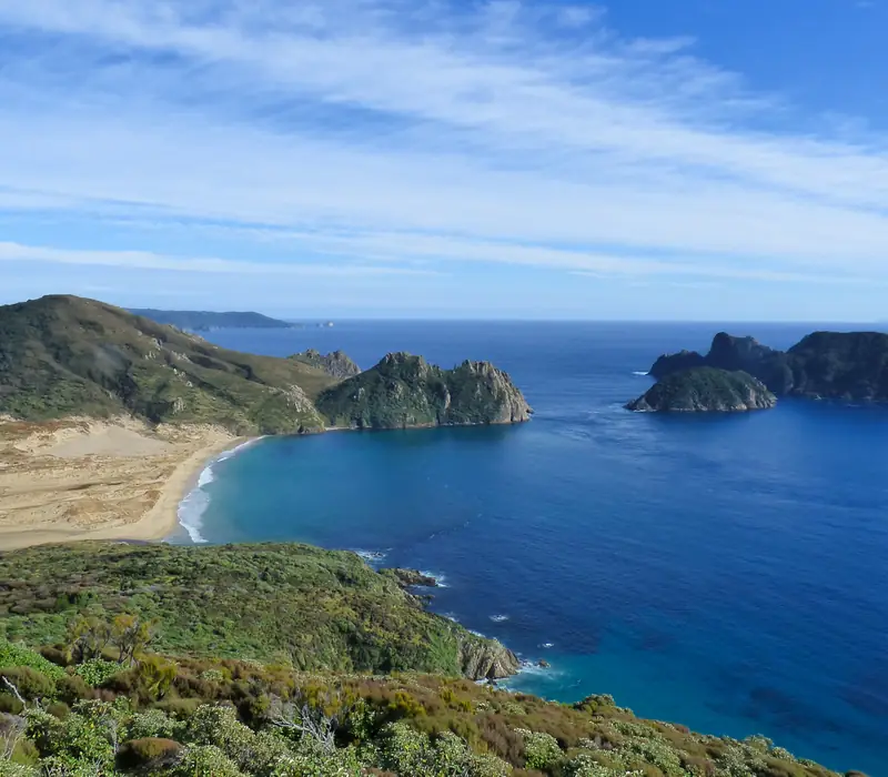 Day 10 of New Zealand South Island Adventure: Head to the very bottom of the island and take a ferry across the Foveaux Strait to the co