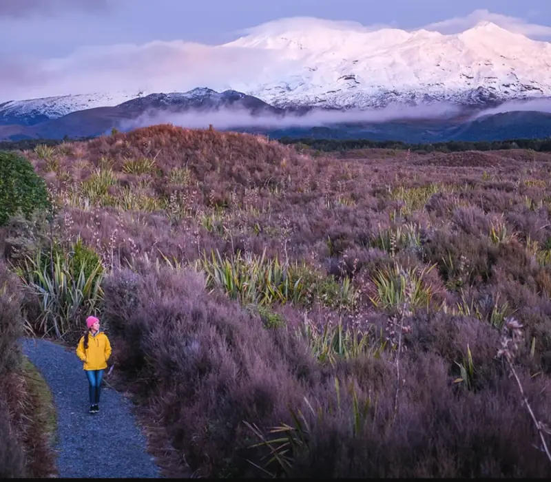 Day 8 of New Zealand Stargazing: 2 Hour Pre Sunset Guided Walk with Adrift Tongariro