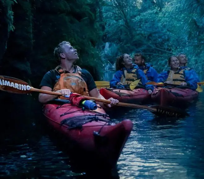 Day 5 of New Zealand Stargazing: Starlight Gourmet Kayak Tour with Waimarino