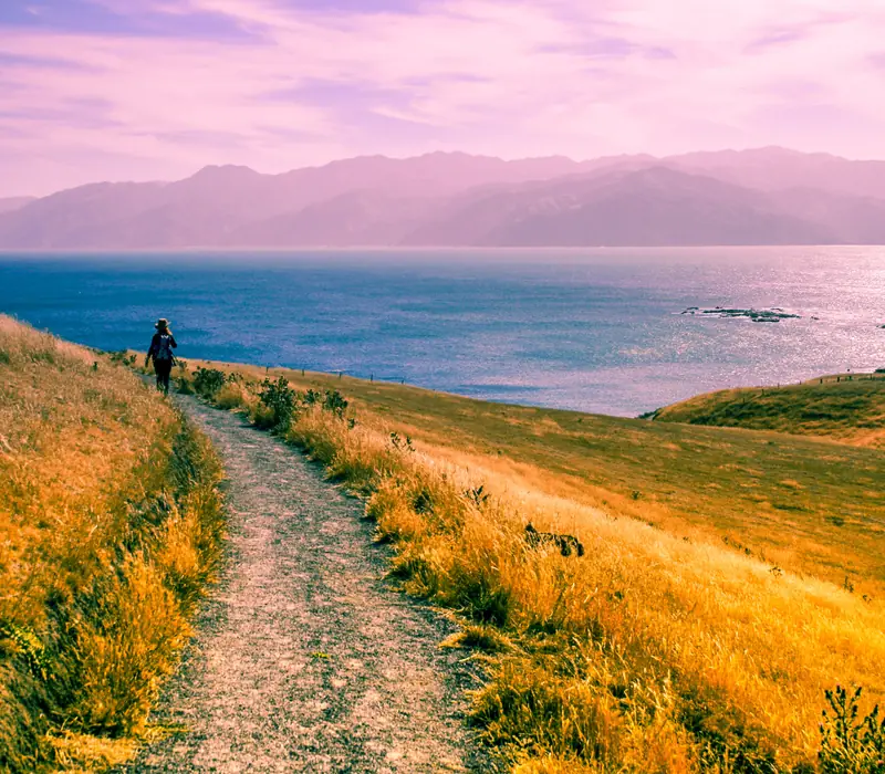 Day 14 of New Zealand Stargazing: Walking tracks in and around Kaikoura