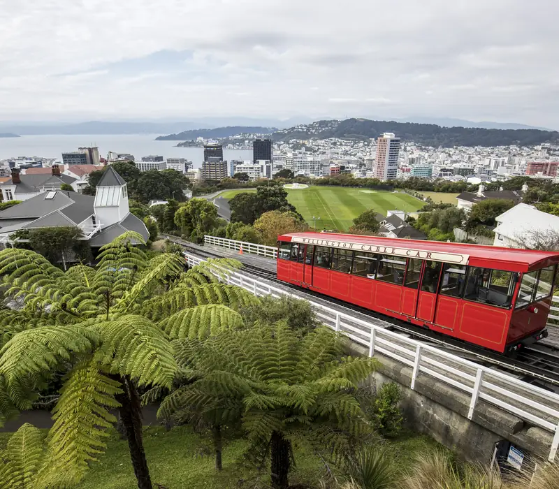 Day 12 of New Zealand Uncovered (Northbound): Today is all about getting to know windy Wellington