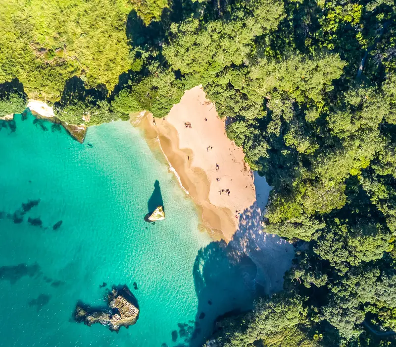 Day 19 of New Zealand Uncovered (Northbound): This morning, spend some time soaking in the last of Coromandel in your free time before h