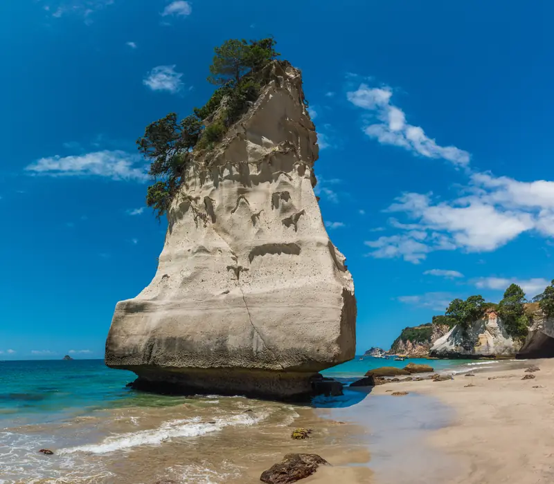 Day 18 of New Zealand Uncovered (Northbound): This morning, join your leader as they show you around The Coromandel