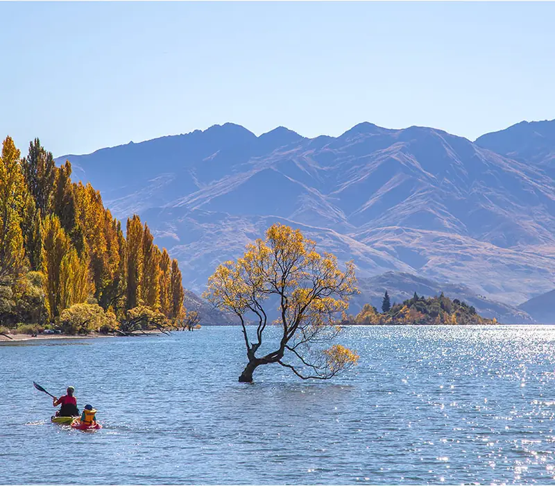Day 6 of New Zealand West Coast Adventure: With Lake Wanaka as the star of the show and surrounding mountains only complimenting its