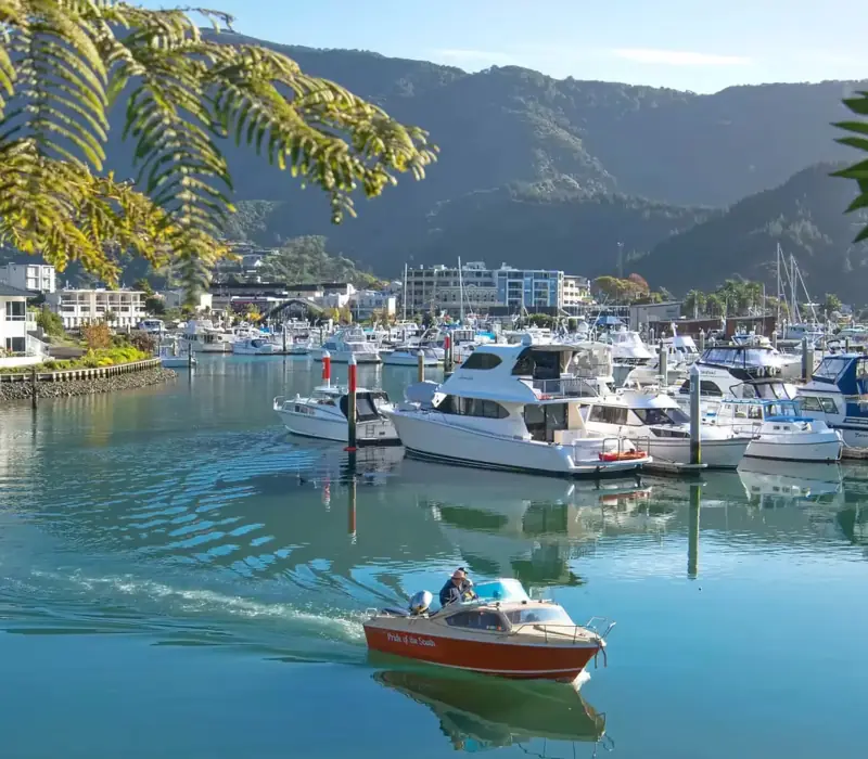 Day 9 of New Zealand Wine Region Explorer: Kaikoura to Picton