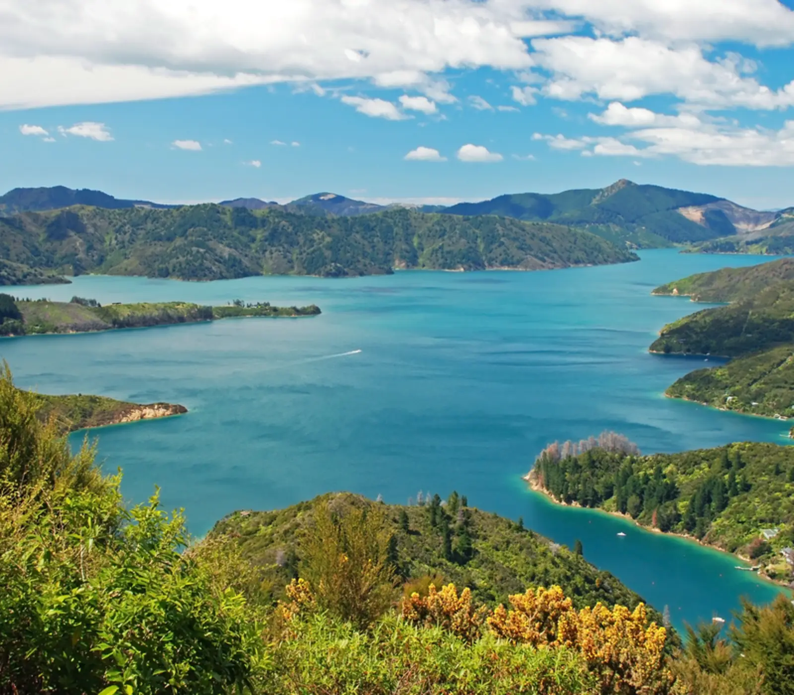 Day 10 of New Zealand Wine Region Explorer: Marlborough Sounds