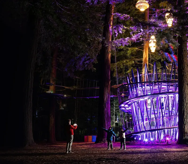 Day 3 of North Island Escape: Redwoods Nightlights and Glowworms, General Admission