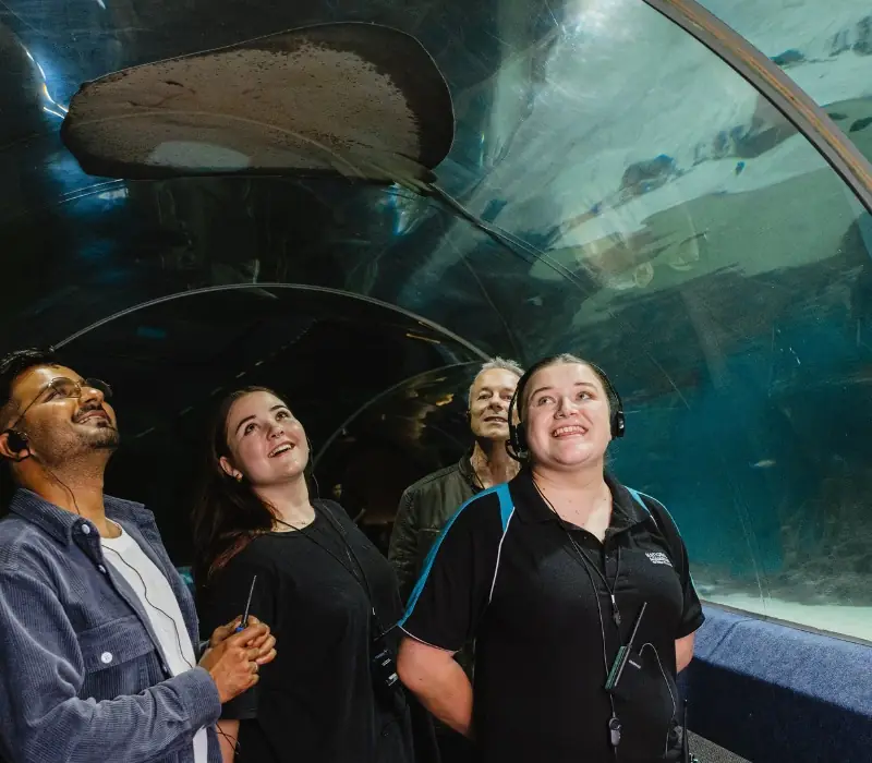 Day 4 of North Island Escape: Native Icons Guided Tour in National Aquarium of New Zealand