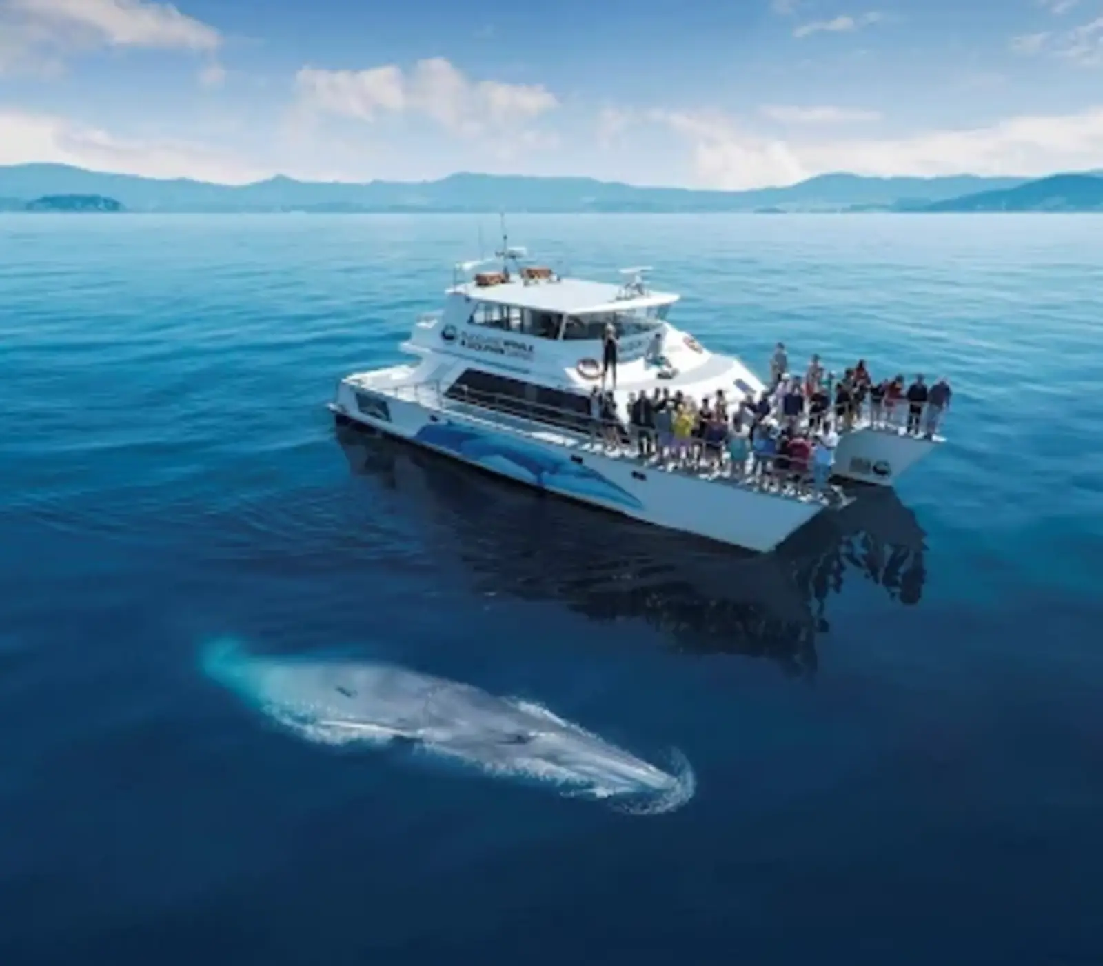 North Island Escape: 8 day New Zealand self drive tour