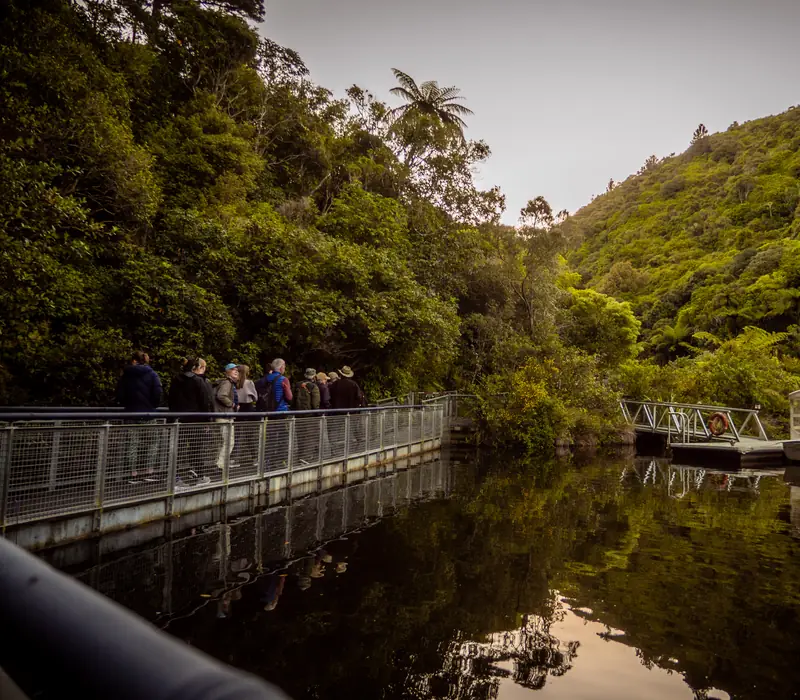 Day 5 of North Island Food, Art, and Nature: Zealandia Twilight Wildlife Sanctuary Tour