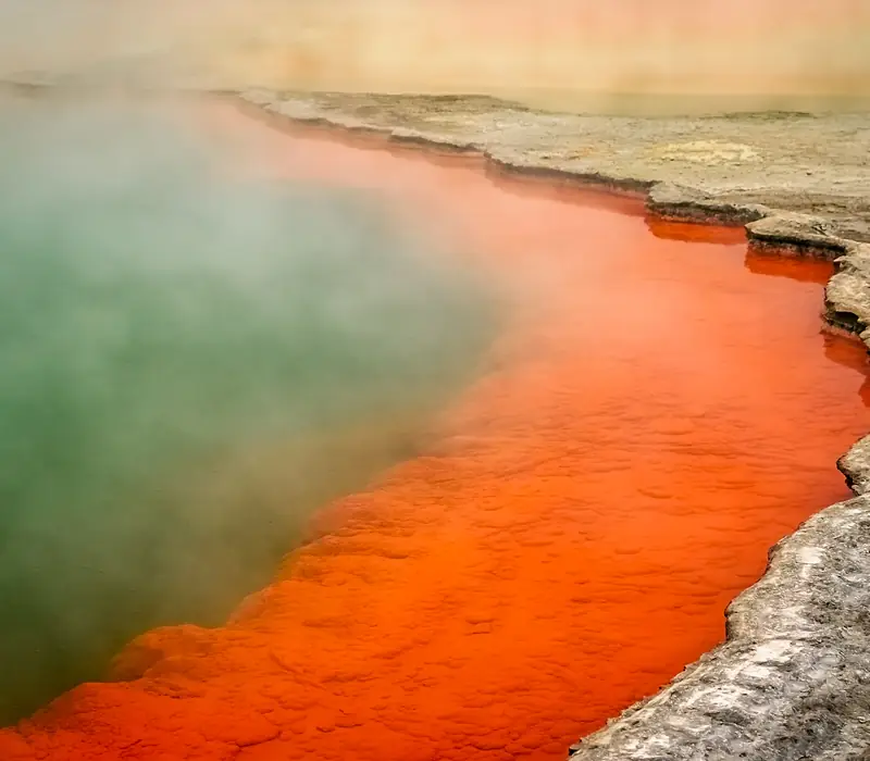 Day 5 of North Island Highlights with Northern Explorer: Uncover Rotorua’s magic in your own time