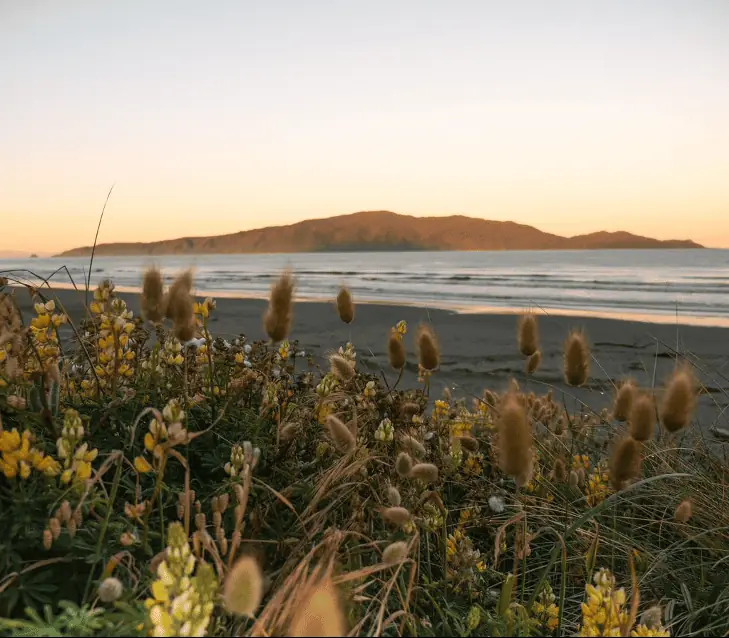 Day 13 of North Island Spectacular: Tongariro to Kapiti Coast