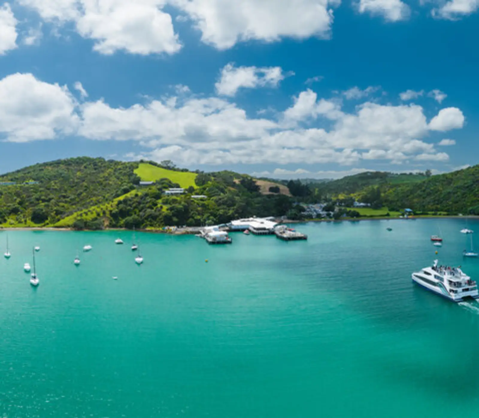 Day 2: Fullers Ferry Waiheke Island to Auckland (photo 4), North Island Spectacular