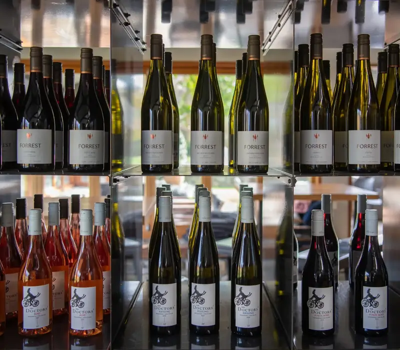 Day 12 of North to South Food & Wine Journey: Full-Day Beyond the Vines Wine Tasting Tour with Marlborough Wine Tours