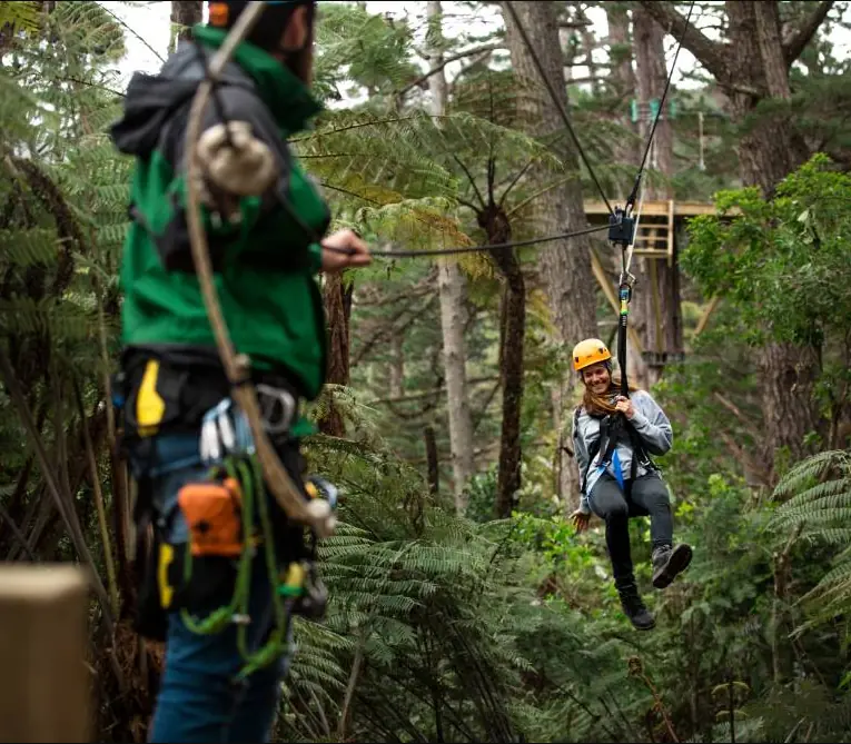 Day 3 of Northern Beach Explorer: Coromandel Zipline Tour