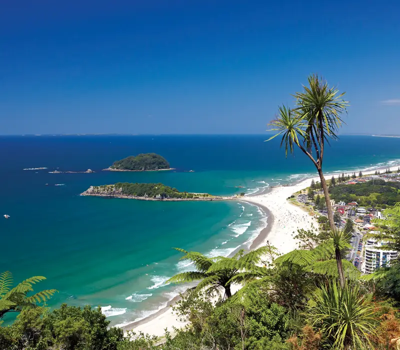 Day 4 of Northern Beach Explorer: Tauranga