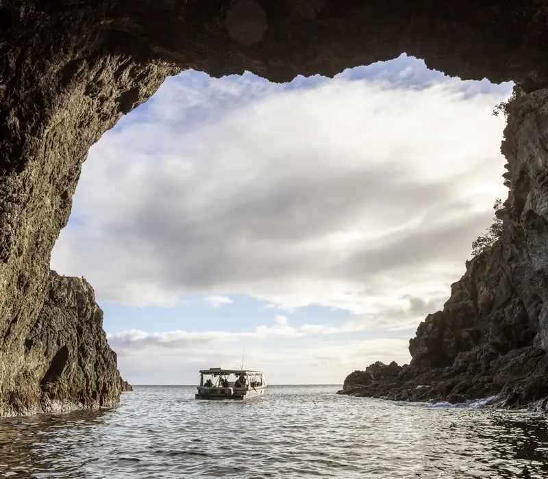Day 6 of Northern Explorer Family Adventure: Goat Island Marine Reserve
