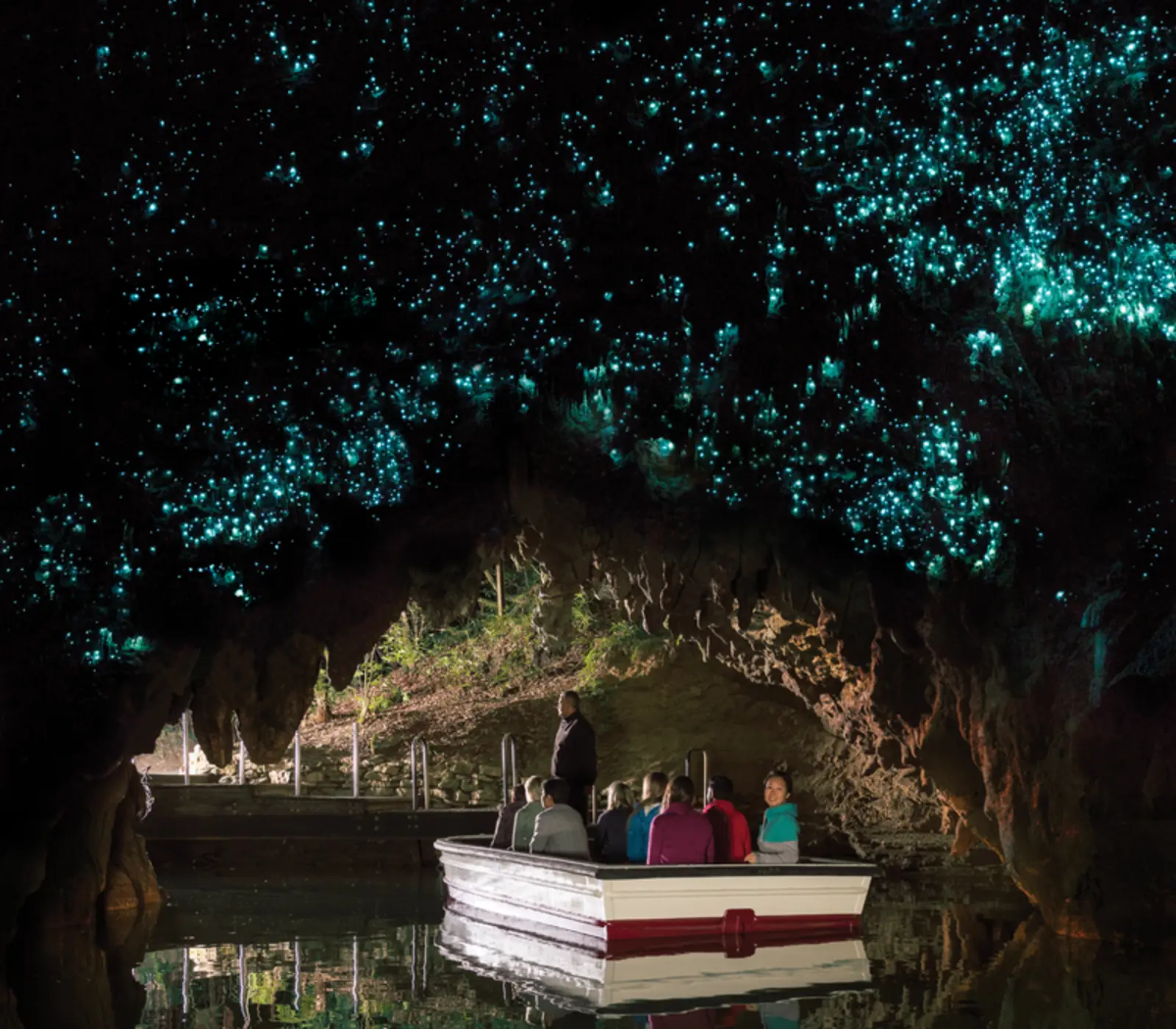 Northern Express Escape: 4 day New Zealand guided coach tour