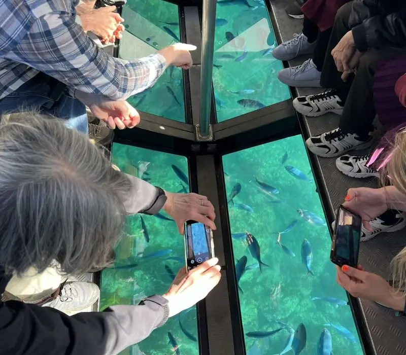 Day 7 of Northern Family Fun Break: Glass Bottom Boat Cathedral Cove Cruise