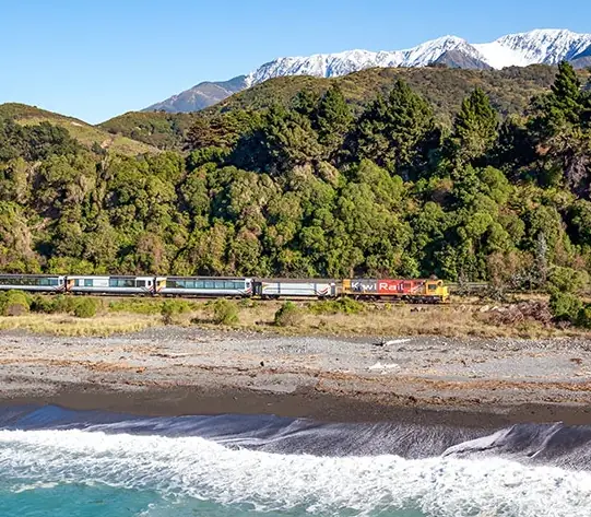 Day 7 of of NZ - 15 Day Classic: Marlborough to Kaikoura on the Coastal Pacific Train