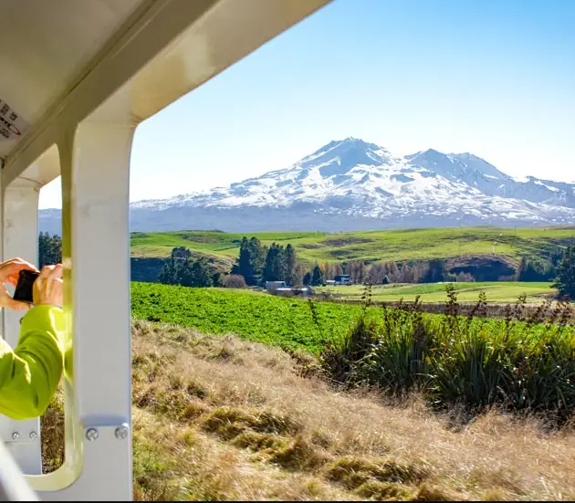 Day 4: Ohakune to Wellington on the Northern Explorer Train, of NZ - 15 Day Classic
