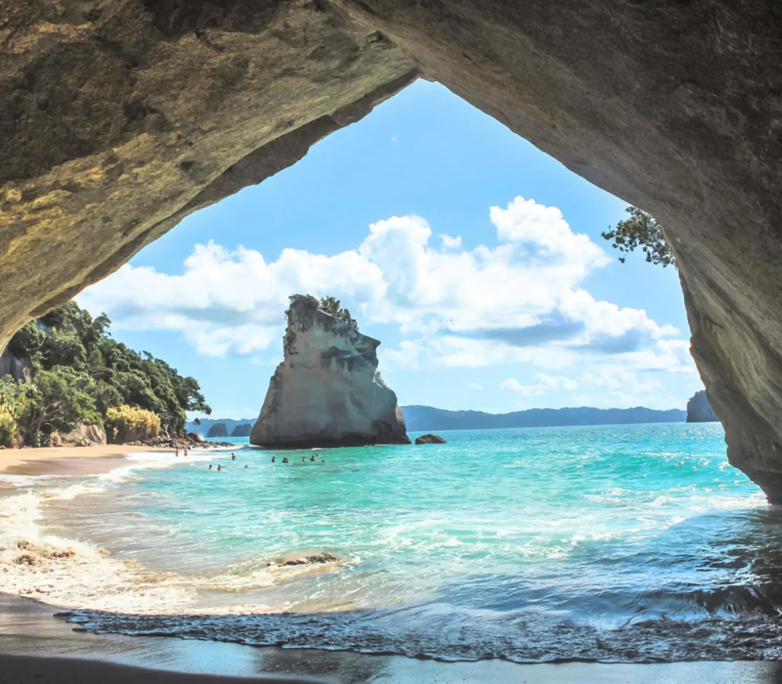 Day 3: Coromandel Peninsula, Pohutukawa
