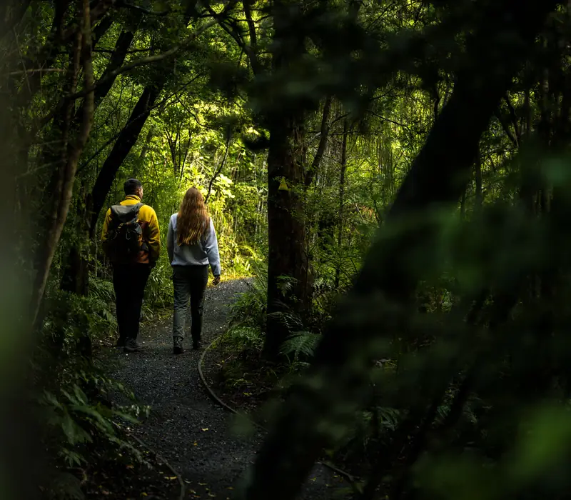 Day 9 of Southern South Island Highlights With Stewart: Ulva Island Explorer