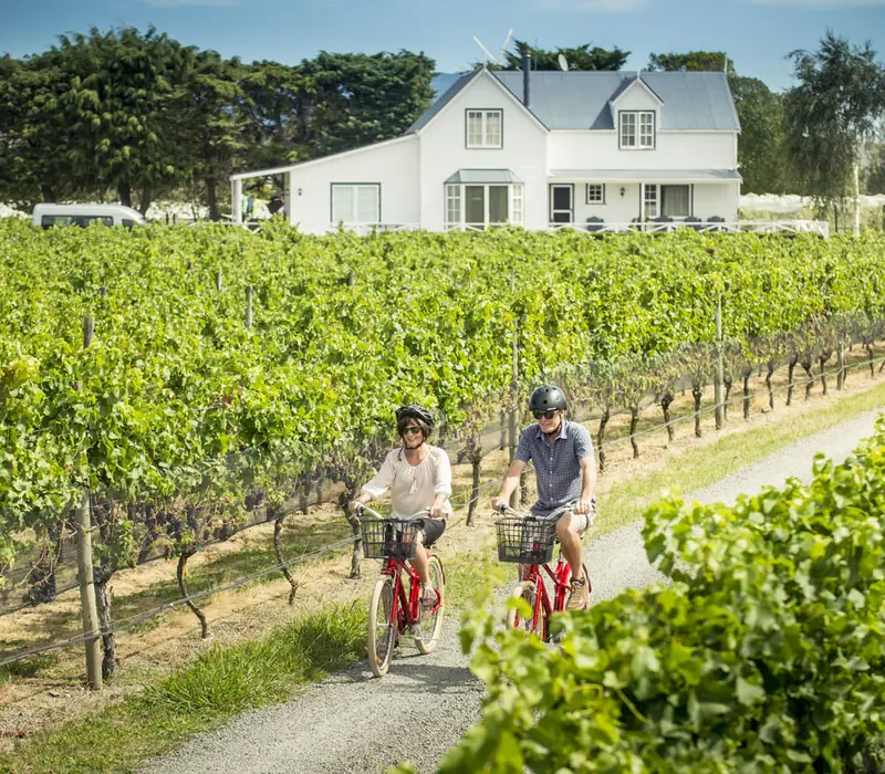 Day 12 of The Ultimate North-South: Martinborough