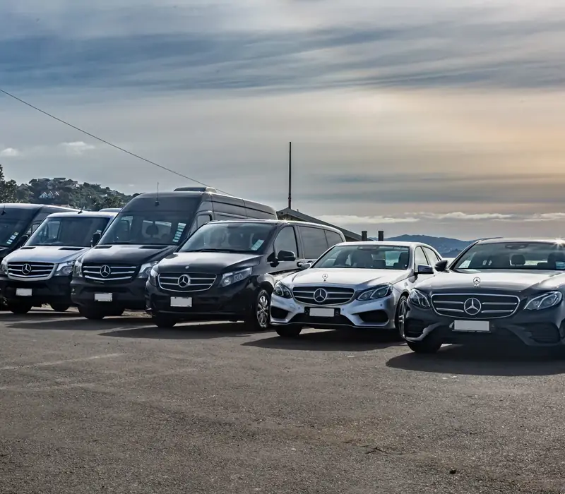 Day 6 of The Interisland Experience: Private Transfer Wellington Ferry Terminal to Hotel with In Style Executive