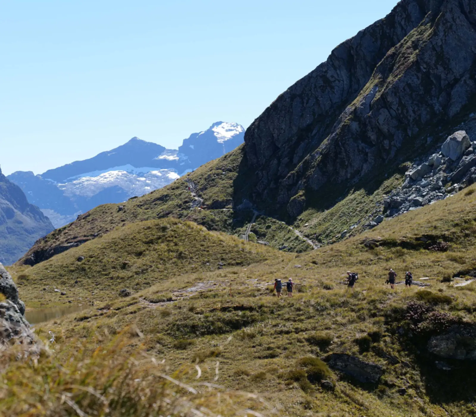Day 4 of Routeburn Guided Walk & West Coast Wonders: Lake Mackenzie to Routeburn Falls Lodge
