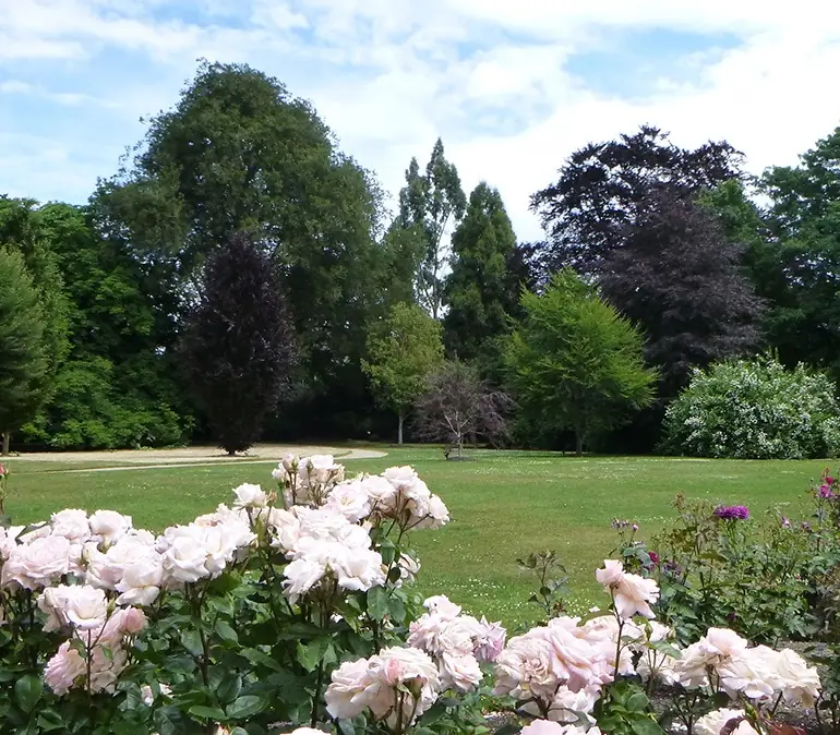 Day 2: Dunedin Botanic Gardens - Suggestion, Short & Sweet South Island