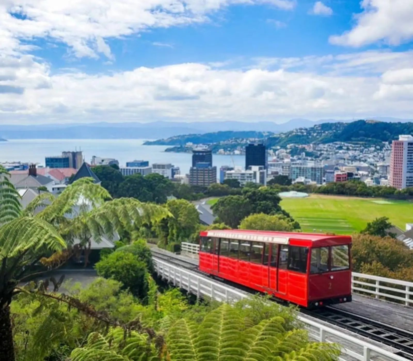 Day 7 of Signature Cities & Seas Tour (via Ohakune): Explore Wellington