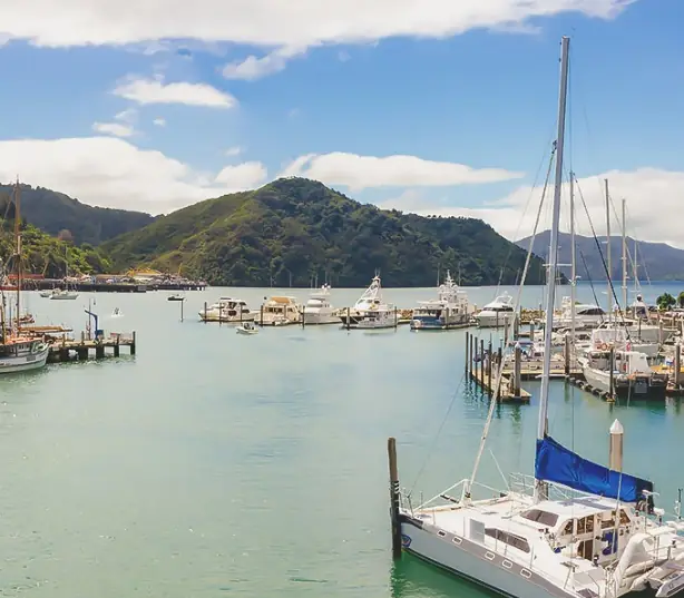 Day 3: Aviation & the Marlborough Sounds, Signature Spectacular South
