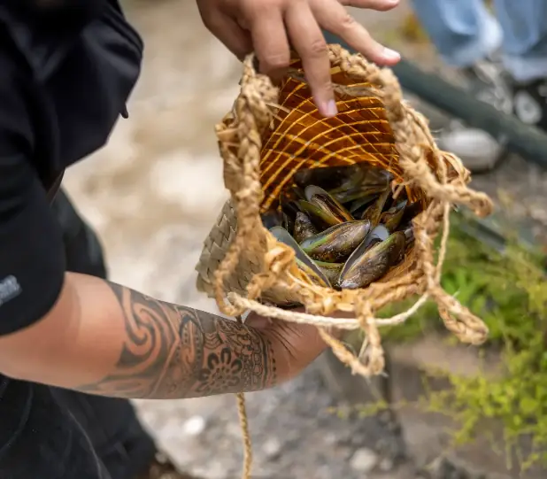 Day 5 of Signature Cities & Seas Tour (via Rotorua): Explore Rotorua