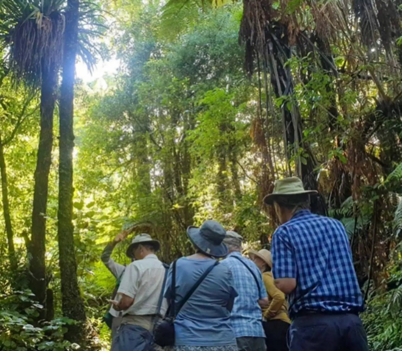 Day 3: Discover Endangered and Bioluminescent Species, Signature Cities & Seas Tour (via Ohakune)