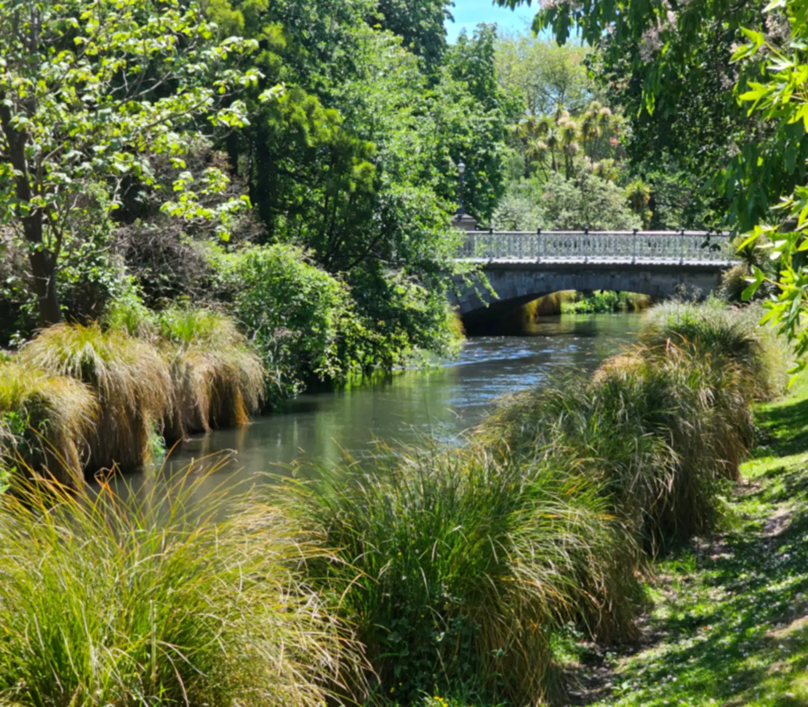 Day 2: Hidden Gems City Sights with Amiki Cultural Food Tours, South Island Grand