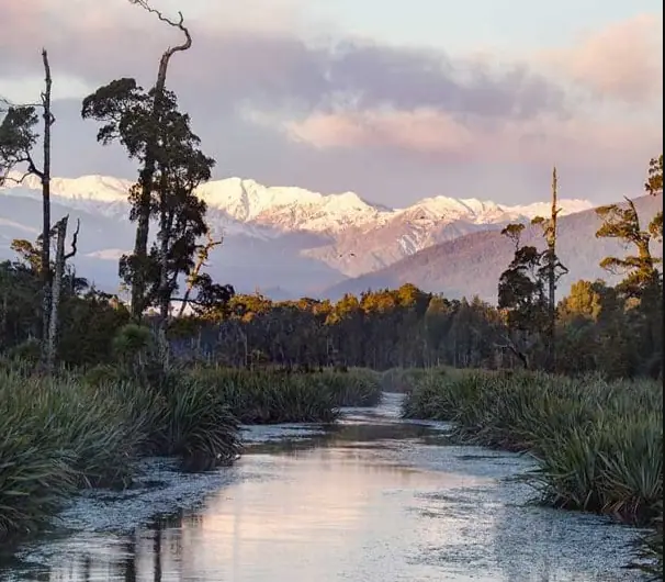 Day 1: Greymouth Train Station to Fox Glacier with Hokitika Scenic Tours (photo 3), South Island Tour from Christchurch
